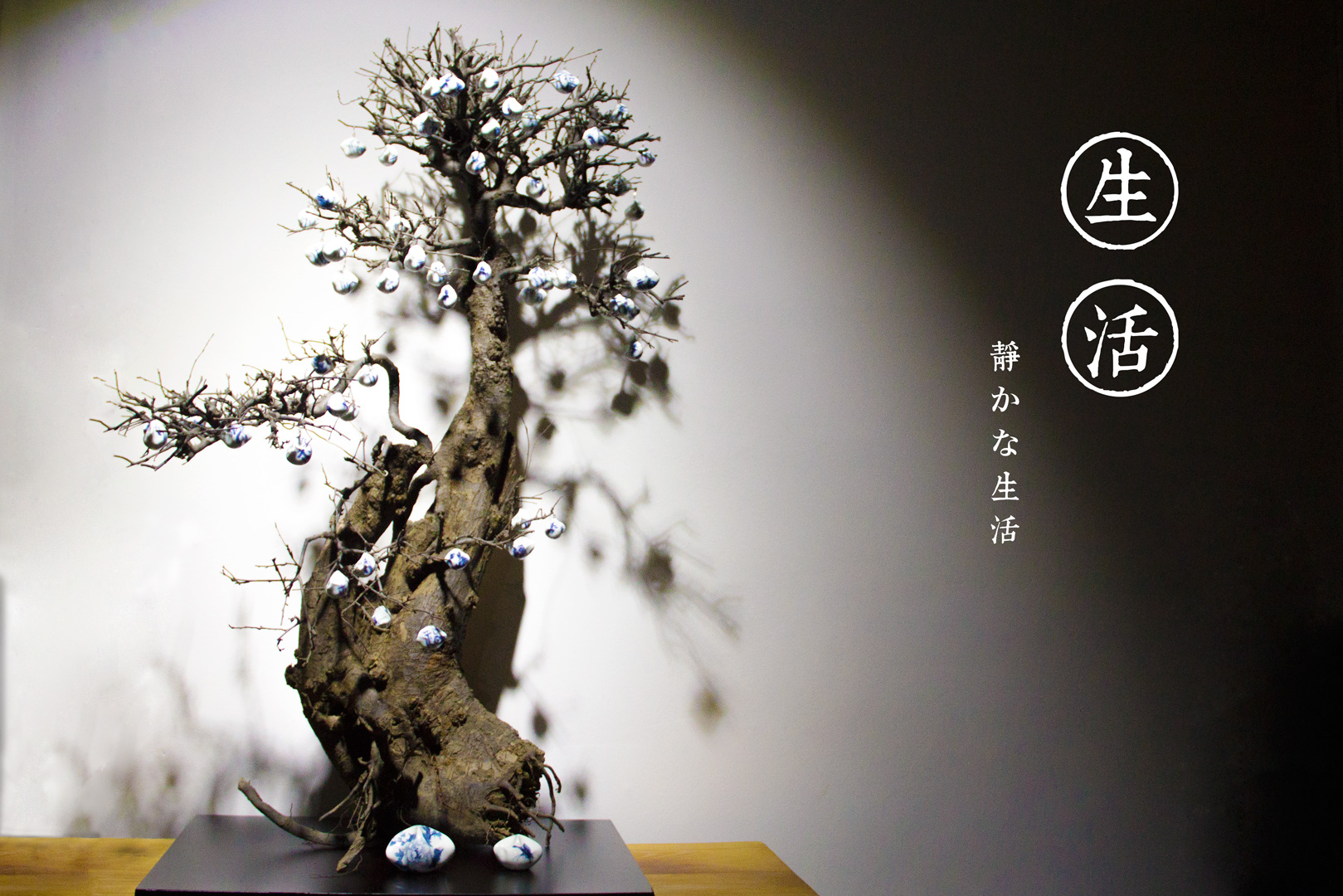 静生活 5