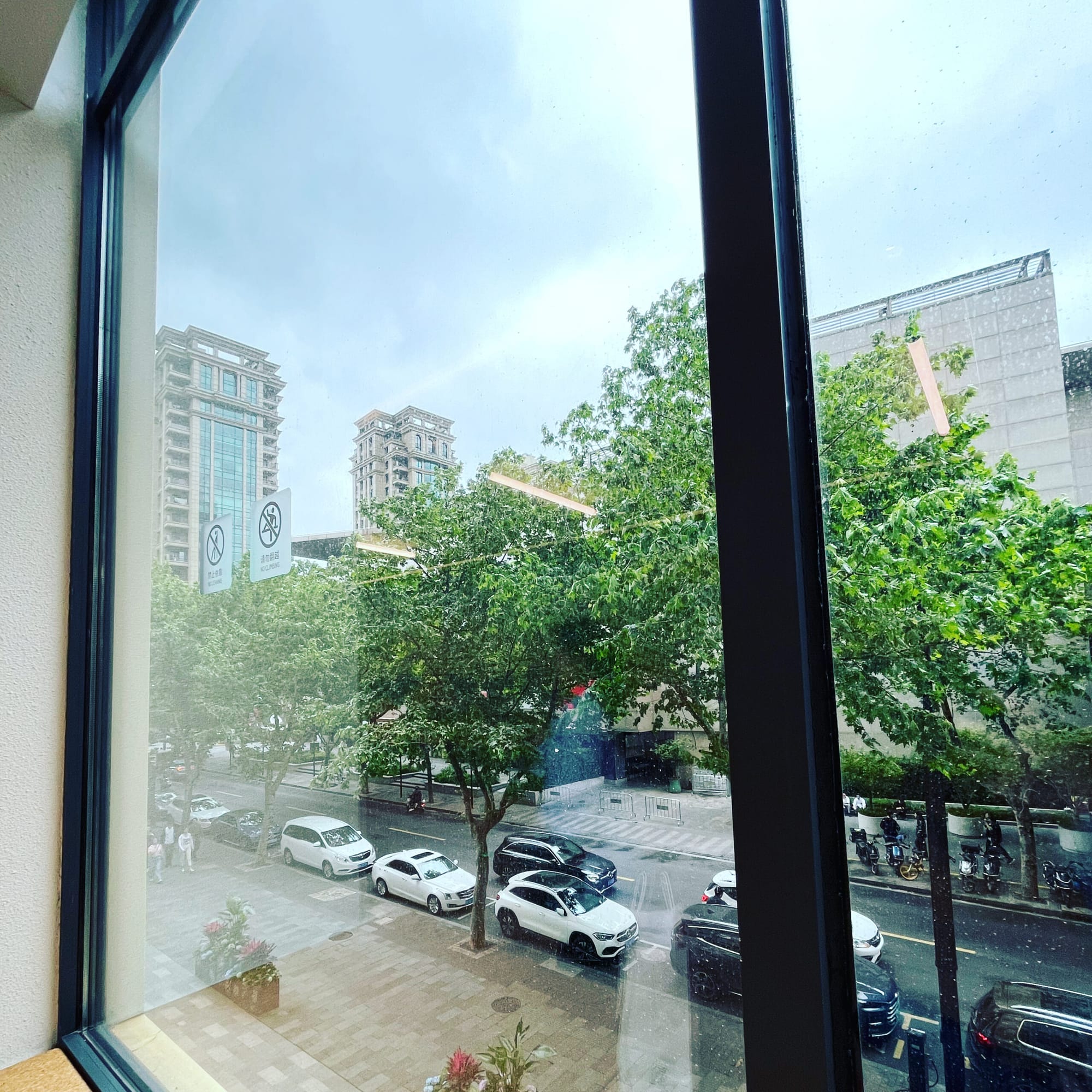 Shanghai 6